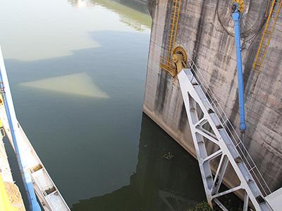 Cilindro hidráulico para compuerta radial